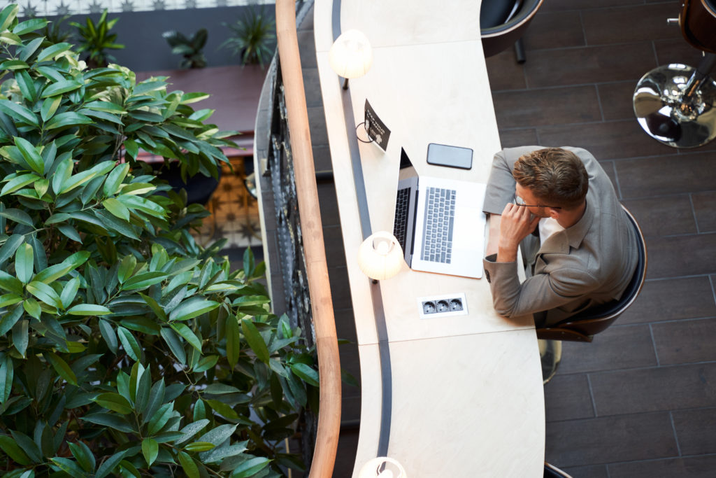 Responsible young male student looking at his laptop screen while sitting in a comfortable workplace