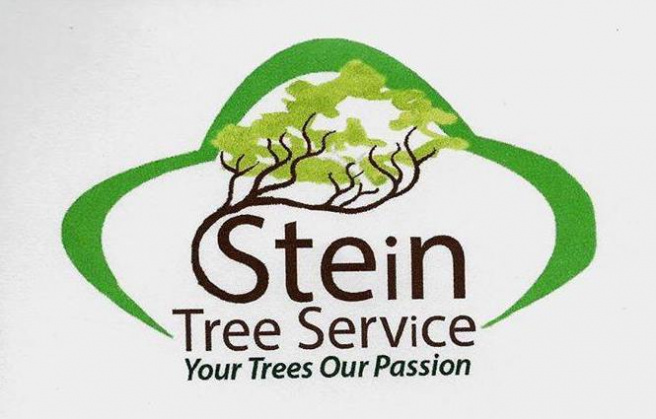 3024783511 Stein Tree Service