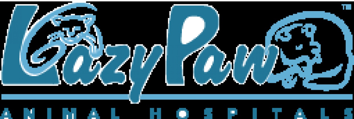 9727121300 LazyPaw Animal Hospitals